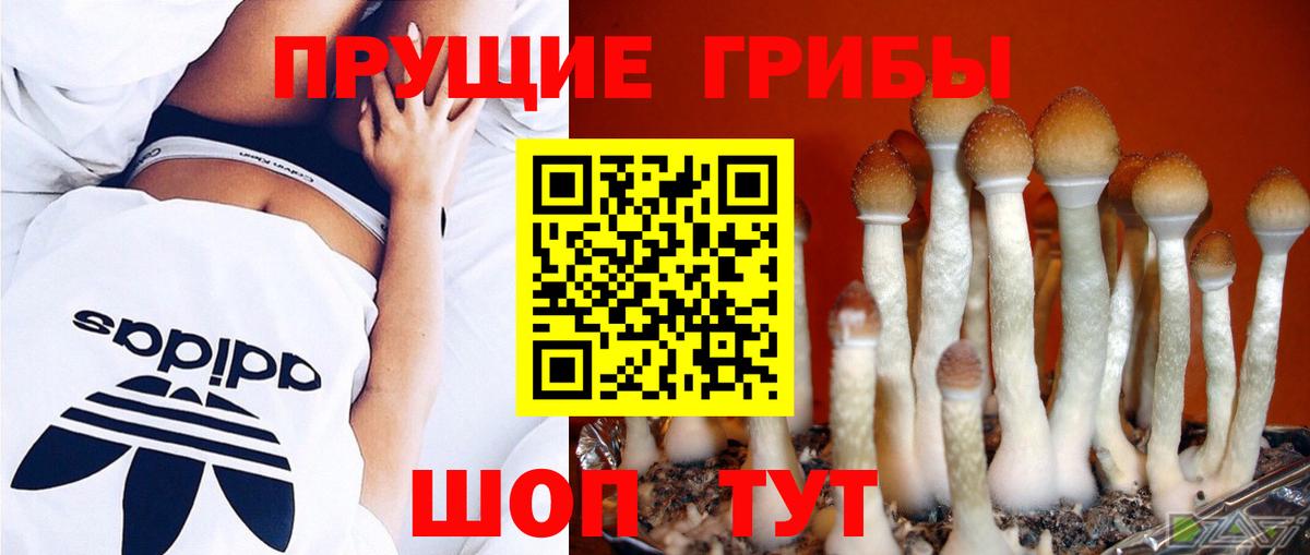 Псилоцибиновые грибы прущие грибы Алейск