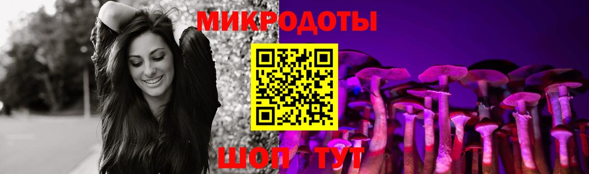 Алейск  купить наркотики сайты  Вход с VPN  Галлюциногенные грибы Magic Shrooms 